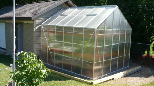 Harbor Freight 10×12 Greenhouse