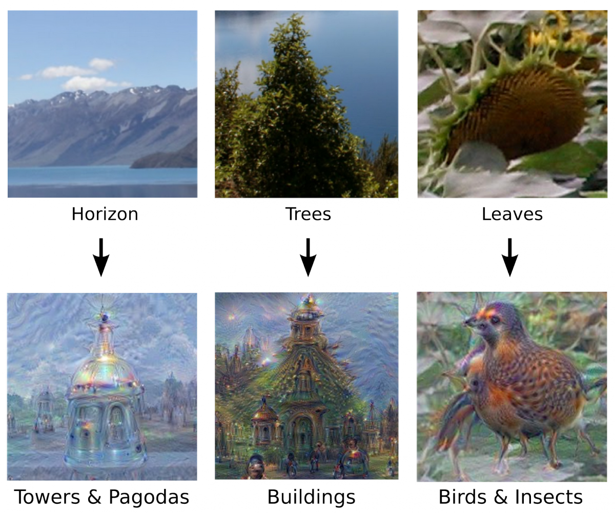 three samples of AI neural network processing three examples of ai neural netwrks finding exactly what they are trained to find in ordinary images even if those items are not actually contained in the image